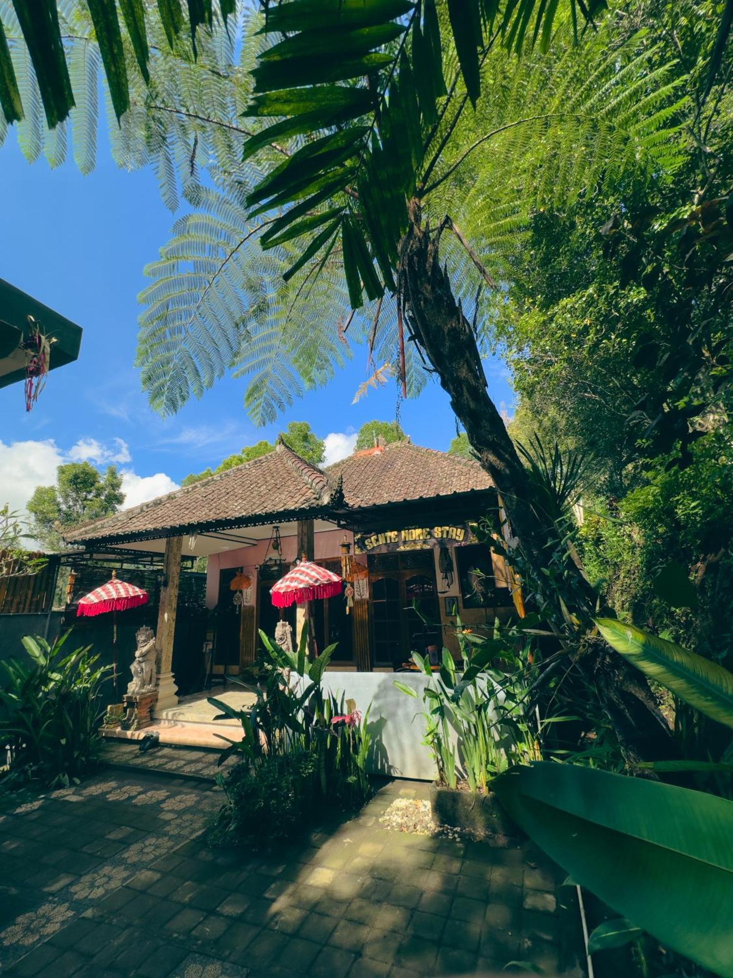 Homestay Sente Munduk Екстериор снимка